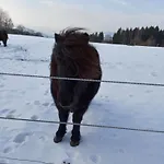 Jestřabí V Krkonoších Jestrabi V Krkonosich