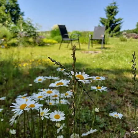 Apartamento Jestřabí V Krkonoších