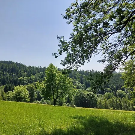 Apartamento Jestřabí V Krkonoších *