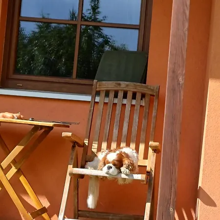 Apartmany Vila Jestrabi V Krkonosich * Jestrabi V Krkonosich